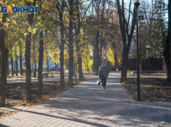 Конец локдауна: что изменилось в Воронеже с 8 ноября