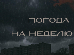Неделя мокрых трусов: когда закончится дождь в Воронеже?