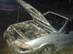 Три парня погибли в ДТП с деревом в Воронежской области