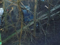 Стало известно, сколько машин повредила непогода в Воронеже