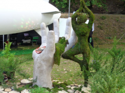 «Воронеж-Сад» продолжает радовать своих гостей творческими встречами  с российскими актерами:  Станиславом Эрдлеем, Виталием Абдуловым,  Ариной Постниковой и актерами сериала  «Молодежка»