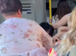 Женское побоище в маршрутке сняли на видео в Воронеже