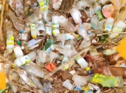 «Драйвовый мусор» сняли на видео неподалеку от воронежской больницы