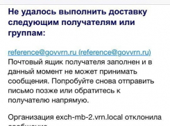 Воронежцы предполагают, что Алексея Гордеева отрезали от виртуальной связи с жителями региона