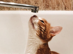 Опубликован список домов, где не будет горячей воды на предстоящей неделе в Воронеже