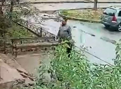 Опубликовано видео с живодером, который отравил 12 собак в Воронеже