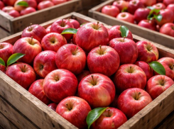 Крупного воронежского производителя яблок признали банкротом по иску ВТБ