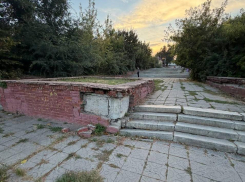  «Ни слез, ни вдохновения»: воронежцы пожаловались на запустение смотровой площадки и спуска у Дворца творчества