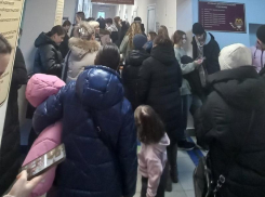Позором и безобразием назвали огромную очередь в детскую поликлинику в Воронежской области 
