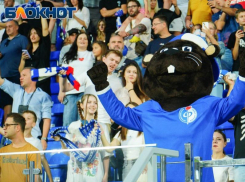 За какое необычное нарушение оштрафовали воронежский «Факел» на кругленькую сумму 