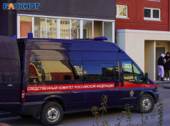 СК РФ займётся расследованием удара сбитого дрона ВСУ по женщине в Воронежской области