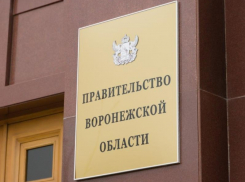 Любопытная инициатива от воронежского правительства забуксовала в бюрократии