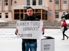 К 2017 году гордума Воронежа потеряла репутацию, а совет поселения Гвазда приобрёл 