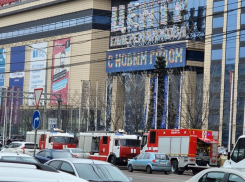 Пожар в кафе привел к эвакуации посетителей «Галереи Чижова» в центре Воронежа