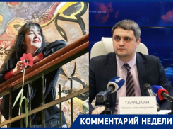 «Ни одно ценное здание не было поставлено под охрану», - воронежская краевед об итогах правления Гарашкина