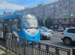 Поездка на троллейбусе впечатлила жительницу Воронежа