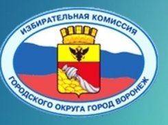 Первая партия выдвинулась на выборы в Воронежскую гордуму