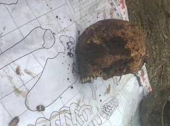 «Мы копаем сами себя»