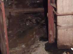 «Никто так и не пришел»: как воронежцы страдают из-за утечки канализации в подвале