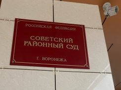 Мэрия через суд требует снести «Тип-Топ» в воронежском парке «Танаис»
