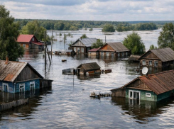 Где рискованно покупать землю, рассказали в воронежском минприроды