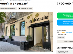 Кофейню в центре Воронежа отдают в хорошие руки 