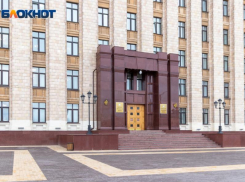 «Бездарные управленцы»: воронежцы бурно отреагировали на обращение оперштаба о тревожной ковидной обстановке