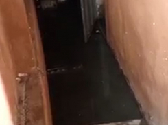 «В квартирах дышать невозможно»: на видео попал затопленный фекалиями подвал в Воронеже