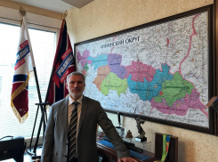 С имитацией обучения сравнил дистанционку в школах депутат Госдумы из Воронежа