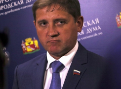 Депутат гордумы Воронежа похвалил мэрию за ответственный подход к бюджету