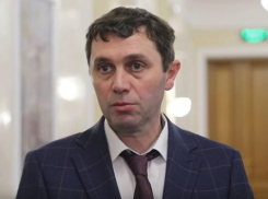 «Лучше перестраховаться»: Сергей Петрин о привлечении техники к уборке снега в Воронеже зимой 