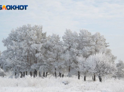 Оттепель со снегопадами встретят в начале весны жители Воронежской области