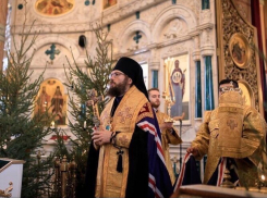 Представление россошанского епископа состоялось на новогодних каникулах в Воронежской области