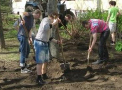 В Воронеже привели в порядок 346 га территории во время субботника