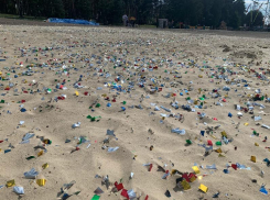 Обратную сторону общегородского выпускного показали в воронежском парке