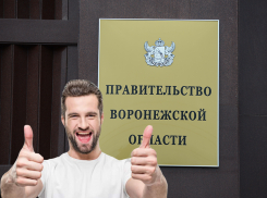 Составлен портрет воронежца, фанатеющего от правительства