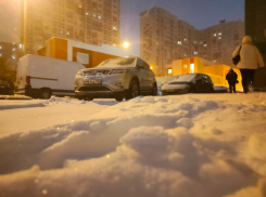 Воронеж завалило снегопадом и метелью утром 20 ноября