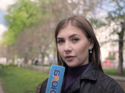 Усыплять или спасать: воронежцам задали непростой вопрос об агрессивных собаках