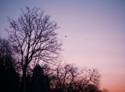 С крыш полетит все, что плохо лежало: какая погода будет в Воронеже