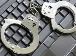 Около 1000 порно снимков детей распространил в интернете воронежец