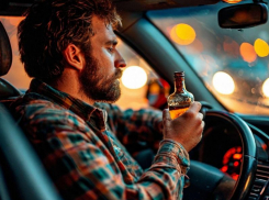 Как сдать пьяного водителя на праздниках и получить 5 тыс рублей, напомнили воронежцам