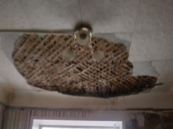 Воронежская УК назвала виновных в обрушении потолка в детской