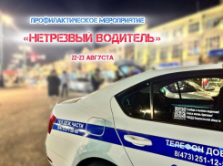 Полицейские анонсировали рейды на воронежских дорогах в ночь на 23 августа