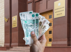 Миллион рублей потратят на несвежие фотоальбомы в воронежском правительстве