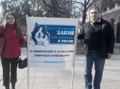 Митинг против отстрела уличных собак прошел в Воронеже
