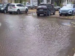 Позор у дорогостоящего стадиона показали в Воронеже 