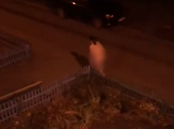 Голая женщина бегала по улицам и приставала к людям в Воронеже