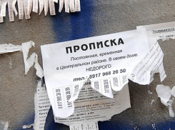 Воронежцы не боятся незаконно ставить на учет иностранных граждан