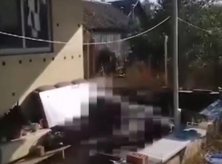 Трое мужчин погибли из-за взрыва гранаты во дворе дома в Воронежской области