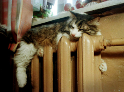 В Воронеже половине домов, лишившихся тепла из-за утечки, включили отопление 